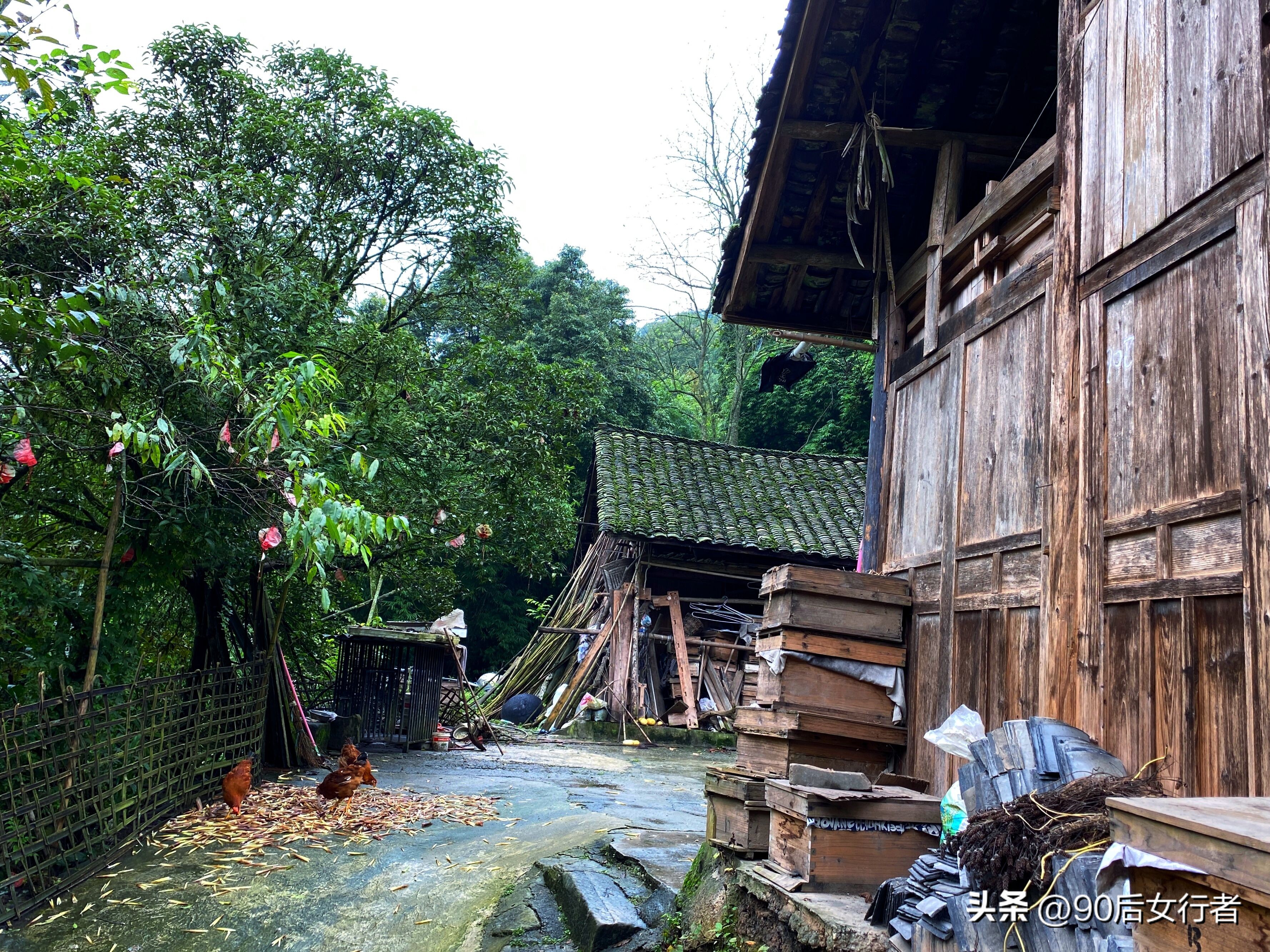 走进山间的小路感受大自然,成都深山老林旅游最好去处
