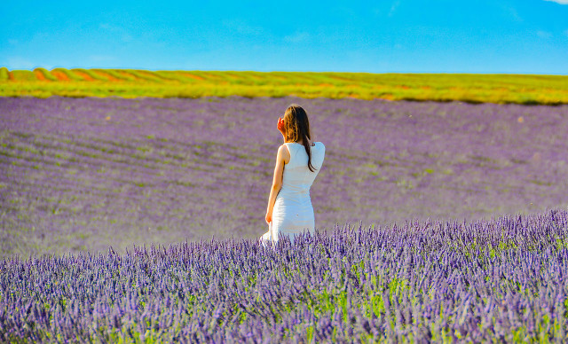 姣忔棩閲戝彞,浜烘皯鏃ユ姤鏄ヨ妭閲戝彞