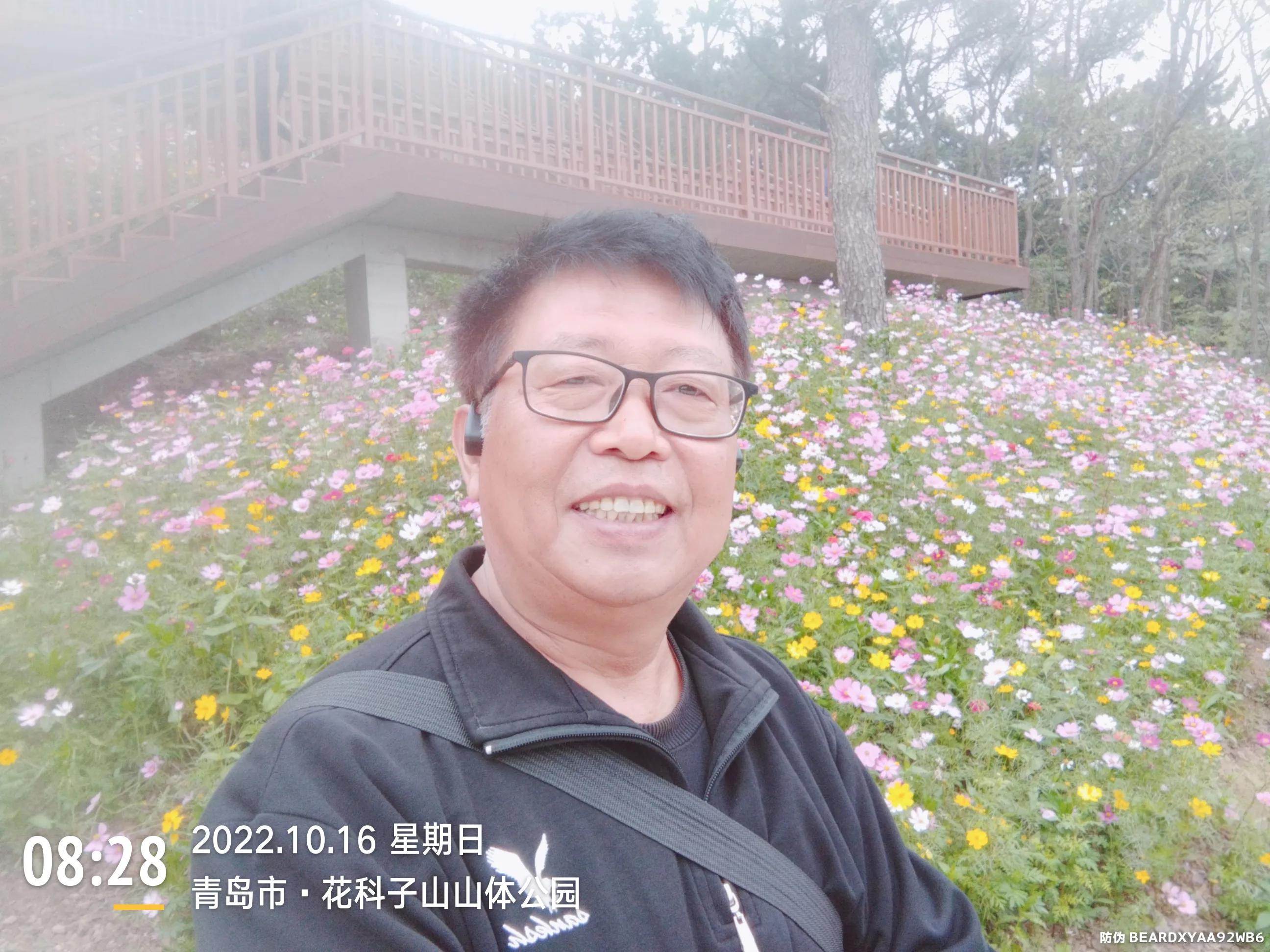 青岛西海岸赏花攻略,青岛海滨风景区一日游攻略