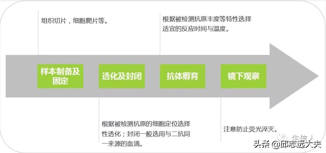 单细胞测序干湿结合,单细胞测序数据分析教程