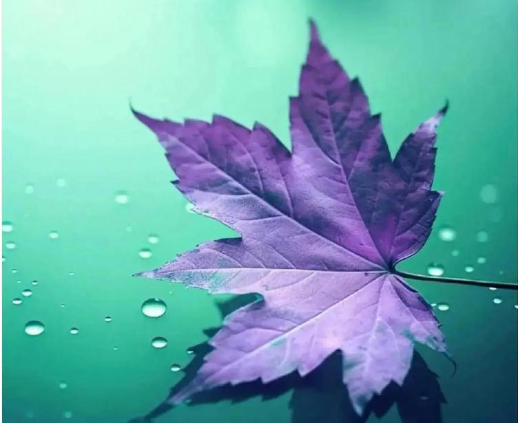 天蝎座男生性格优点和缺点分析图,天蝎座男生的性格优缺点分析图