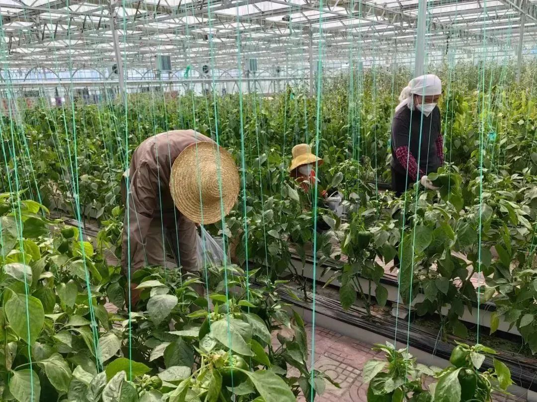 满足员工健康与心灵的需求,满足职工幸福感