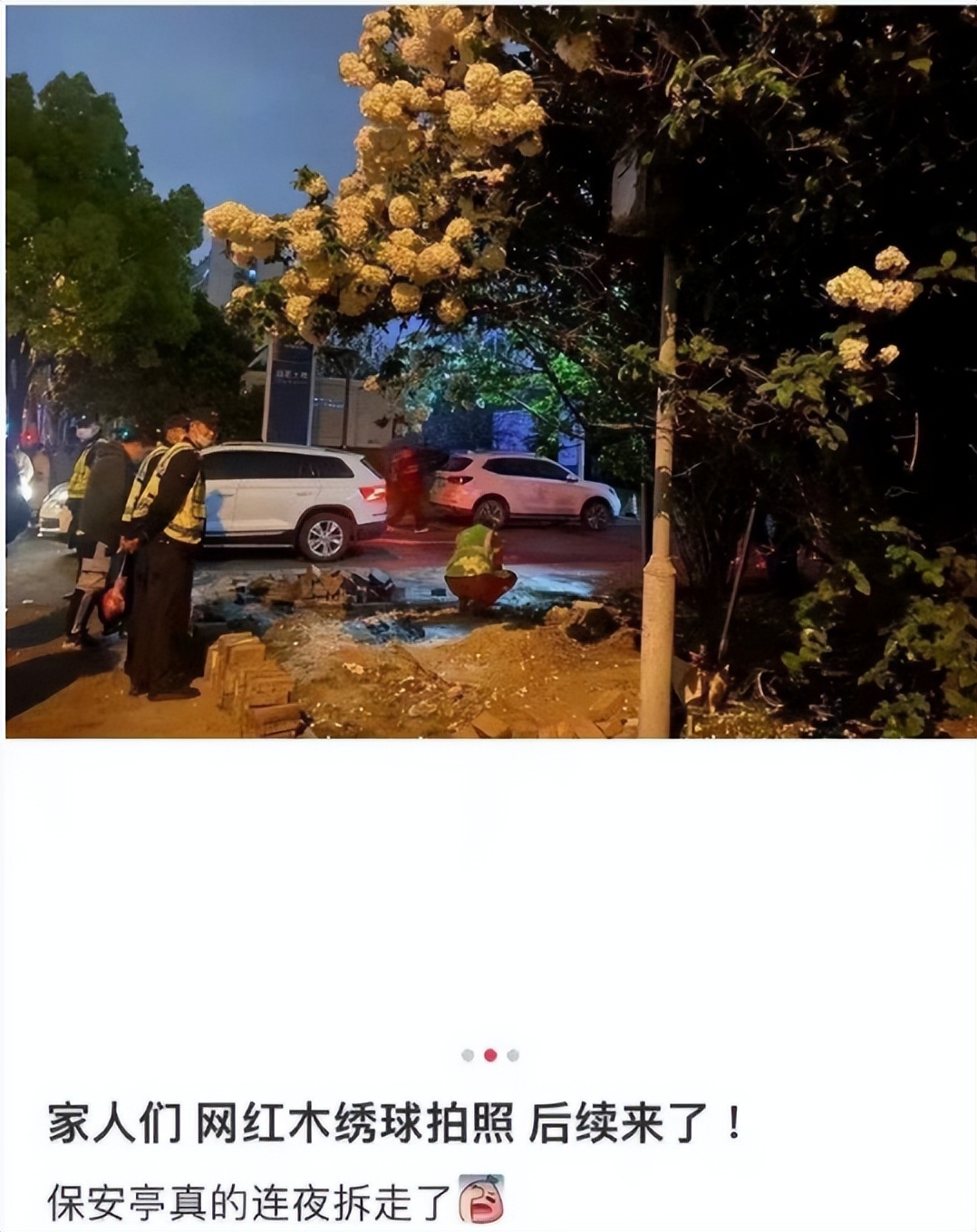 离谱到全网开骂的“玫瑰冰淇淋”事件：新型智商税，又来祸害人了