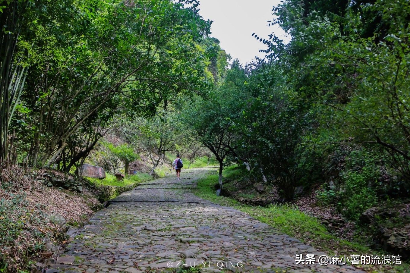韶关千年古道,广东韶关梅关古道