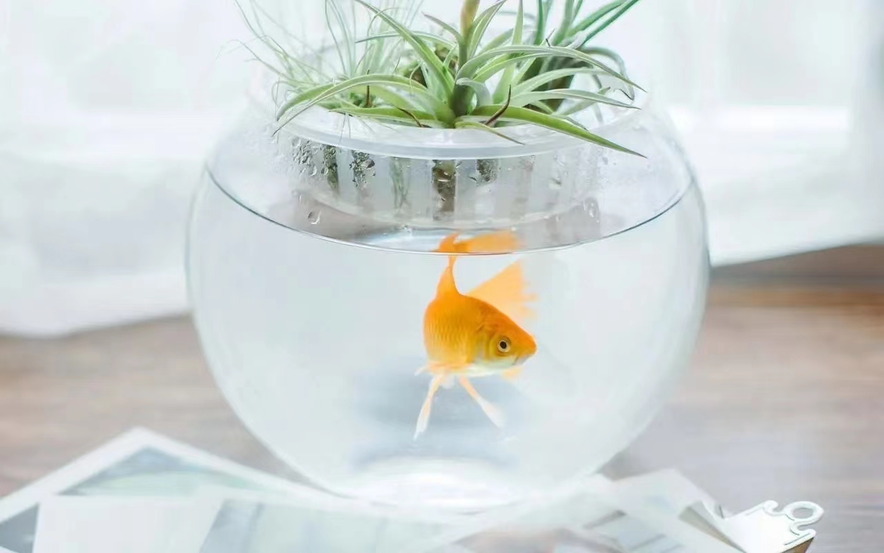 精神创伤就如剥夺睡眠一样,精神创伤怎么自我治愈