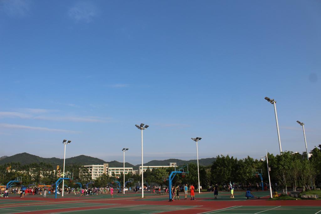 河源职业技术学院3+1证书分数线,广东高职高考3+证书有哪些好学校