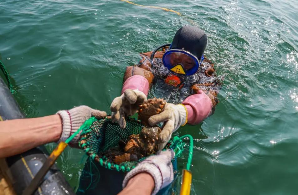 东北小伙一亿买石头,东北小伙花两亿买石头现状