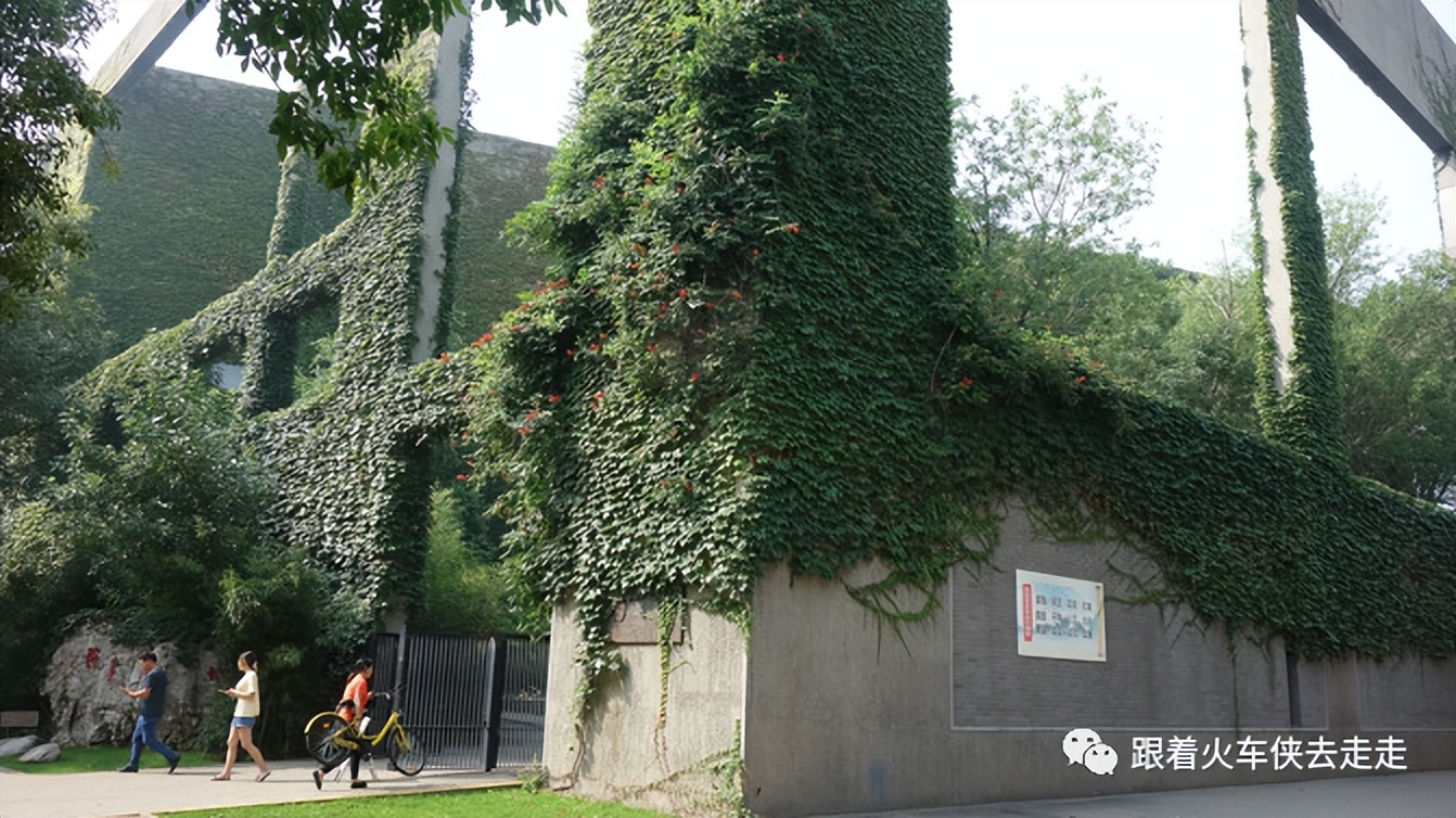 老天津读历史，新天津新全运（四）——天津大学（下）