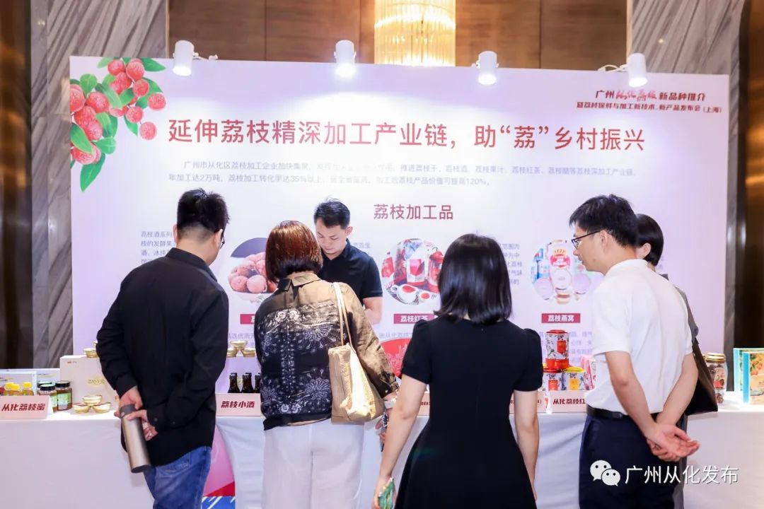 广州从化荔枝节,从化荔枝节什么时候开始举行