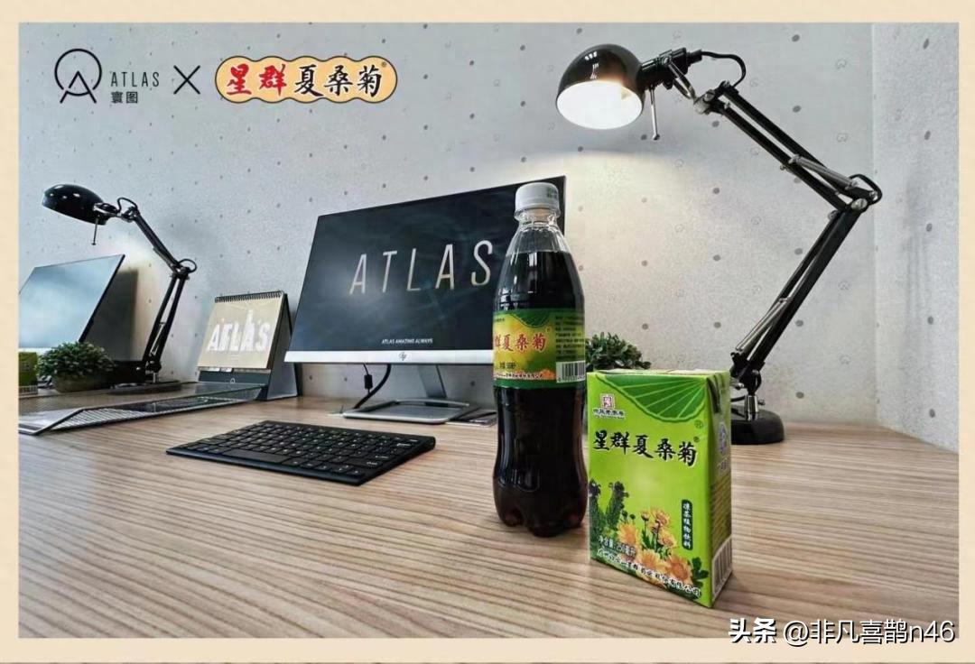 凉茶文化节,白云山星群夏桑菊凉茶节在哪