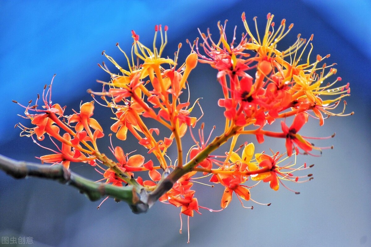 春天来了我们一起去看风景,春天来了我们去看哪里