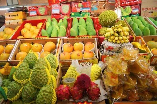 去过三亚旅游感言,去过三亚后去哪都没三亚好玩