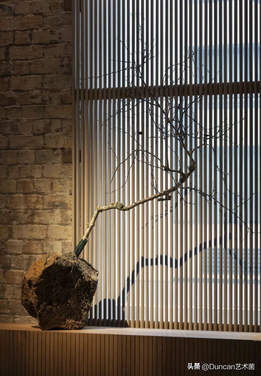 CheshireArchitects不拘泥于固定的风格！