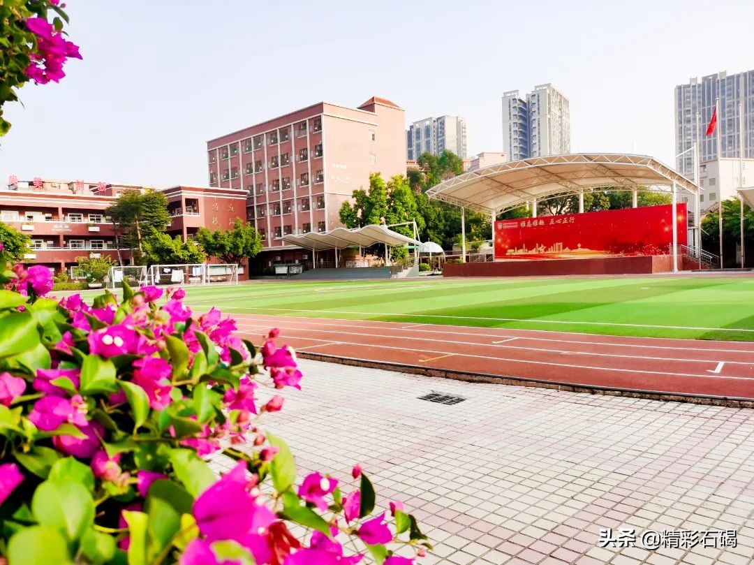东莞石排四海学校招生,石碣四海学校