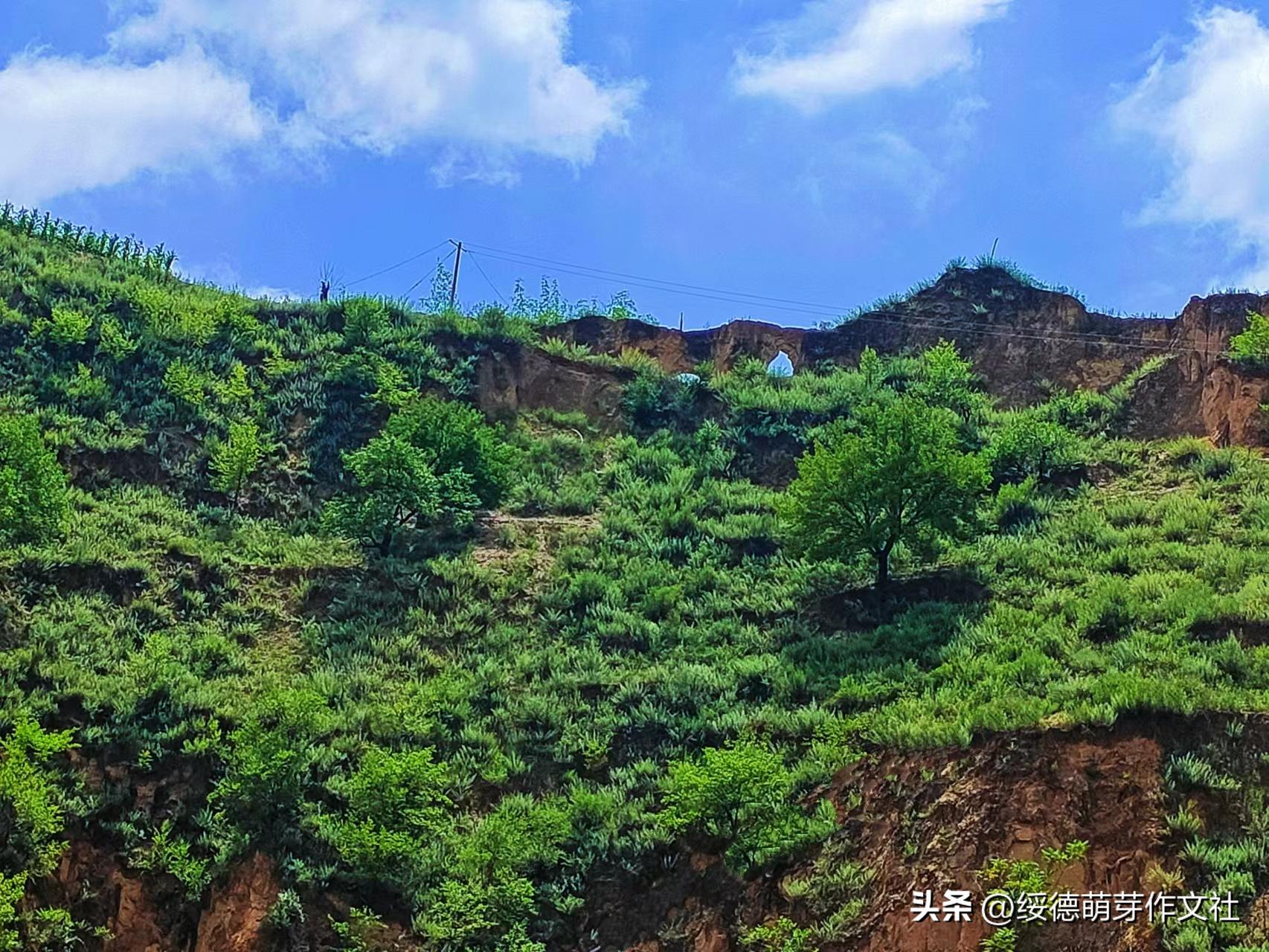 绥德李强国：从高舍硷到高石角