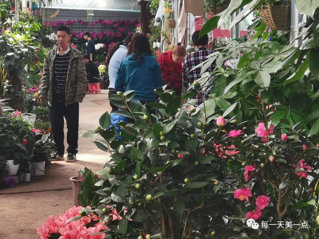 浙江女富豪何巧女，赴美豪捐96亿，国内却欠债200亿，如今怎样？