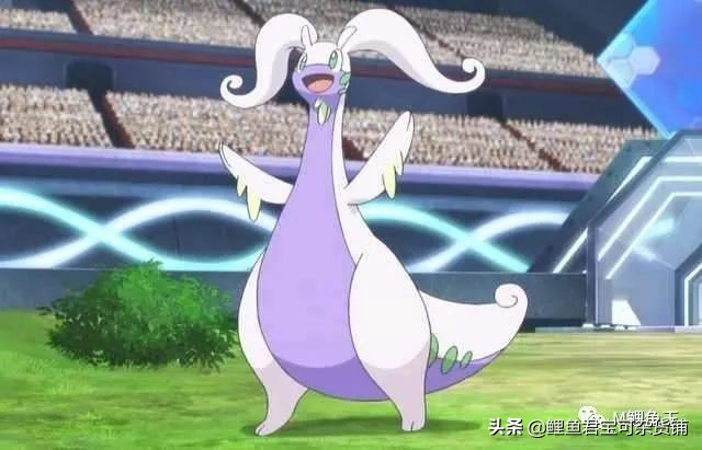 宝可梦进化,宝可梦成长之路