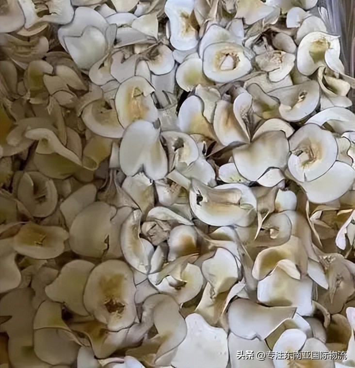 泰国新鲜海底椰,泰国海底椰片怎么来的