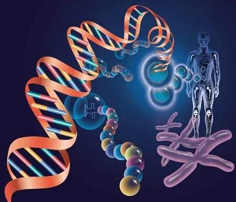 替格瑞洛和氯吡格雷抗血小板机制,替格瑞洛和氯吡格雷哪个容易出血