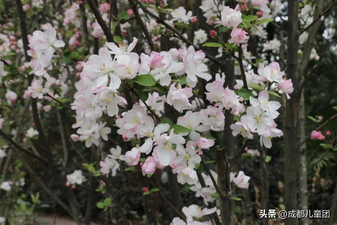 地铁3号线能到的美景地方,一号线地铁直达的风景