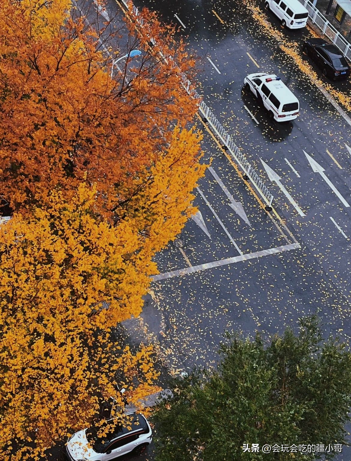 我在他乡挺好的07预告,我在他乡挺好的01花絮