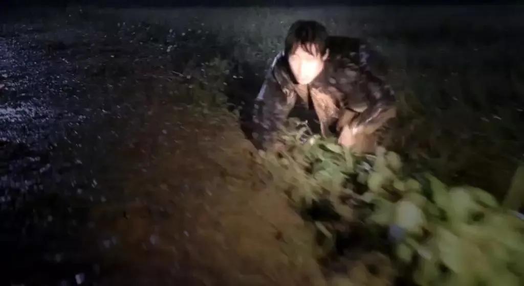 未破的连环杀人案,华城连环杀人案的真凶