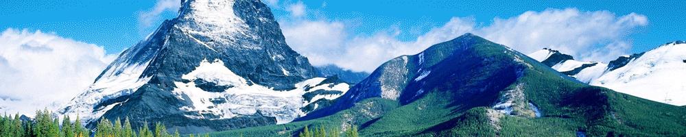 害人害己最终得到报应,耶伦美元交易处理结果