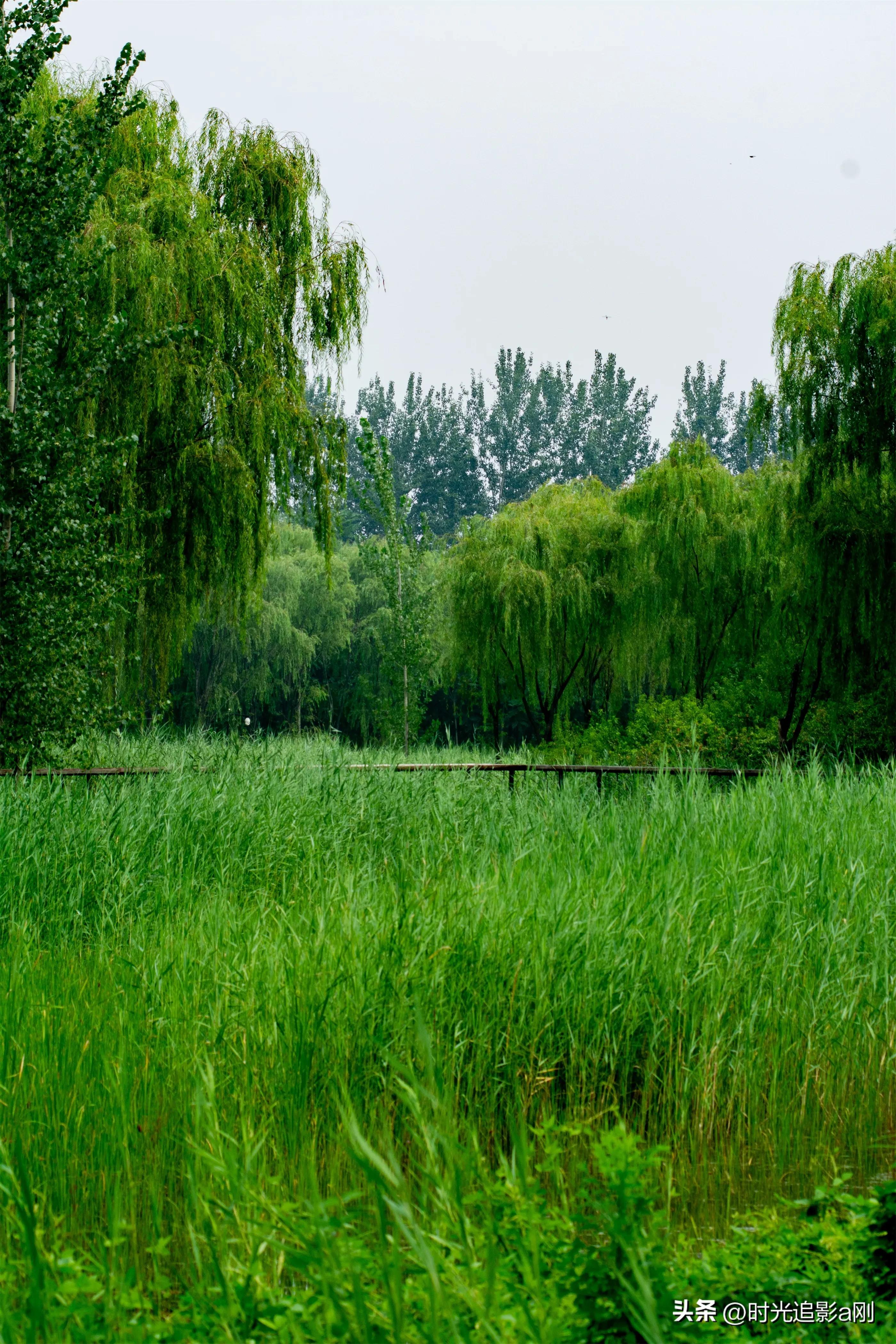 秋日时光音乐会花絮,秋日傍晚公园的美景