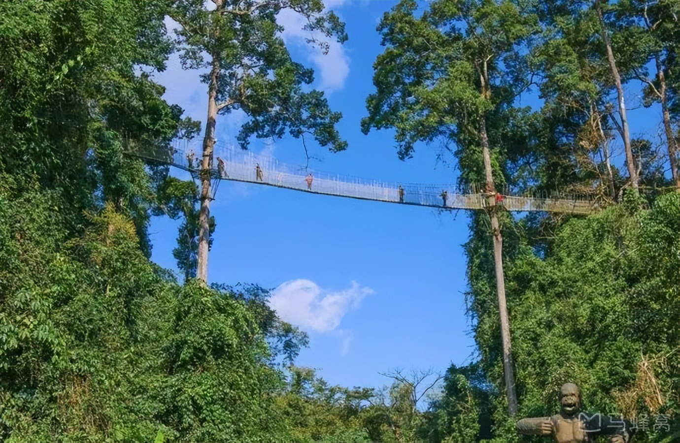 西双版纳风景优美的康养公寓,西双版纳民宿万达片区