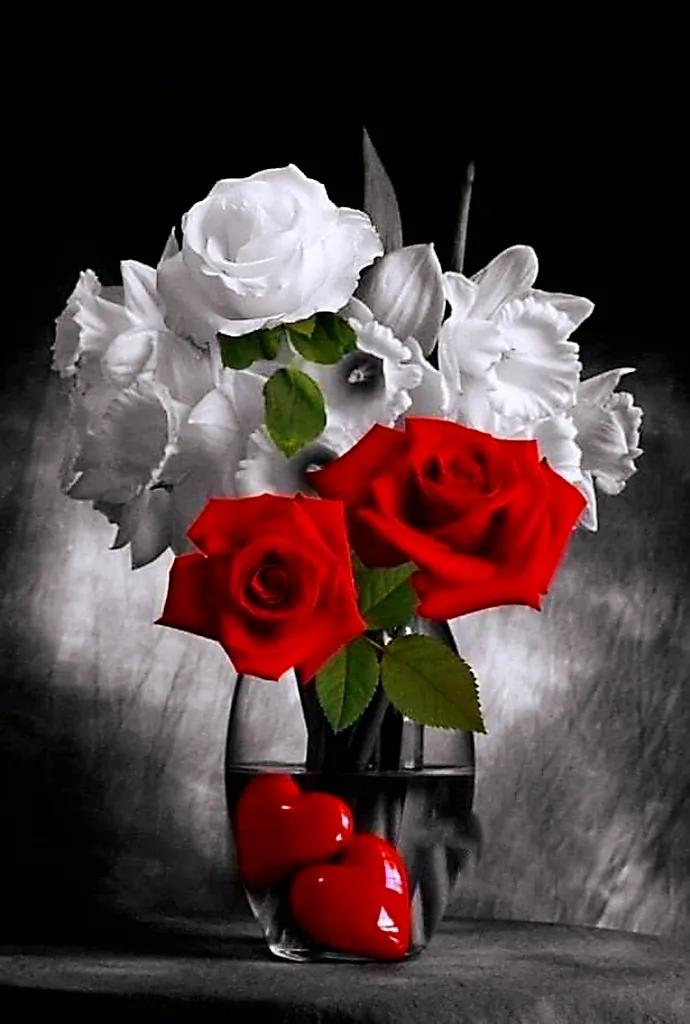 鲜花永远是女人的最爱,鲜花打动女人心