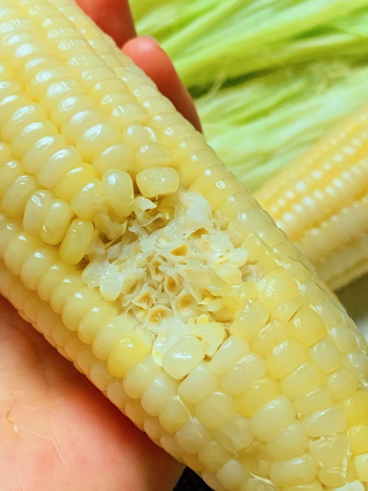 曾红极一时的微波炉，为何如今“存在感”几乎为零？该淘汰了吗？