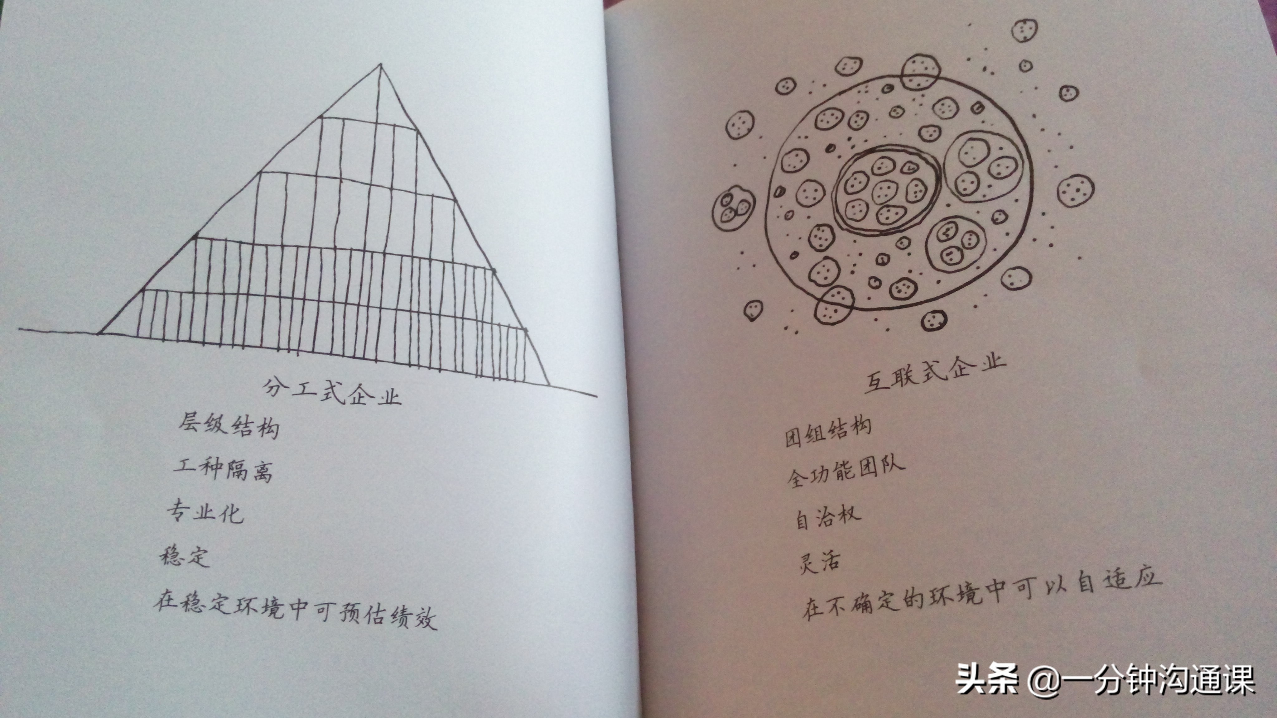 数字化组织结构是扁平化,数字化企业扁平化管理