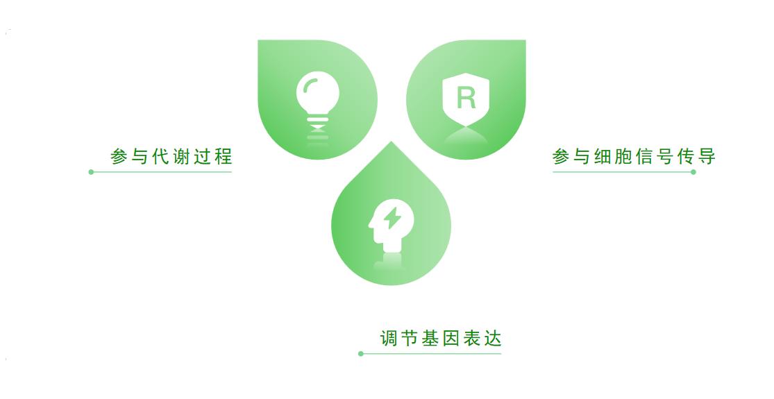 科学的认知是什么,科学的认识人体