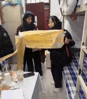 老鼠贴粘到鸟违法吗,老鼠贴能粘住死人吗