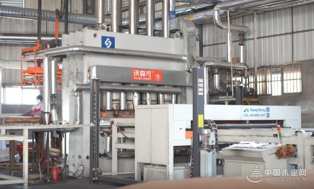 沃森川板材与千年舟质量怎么样,沃森接受采访