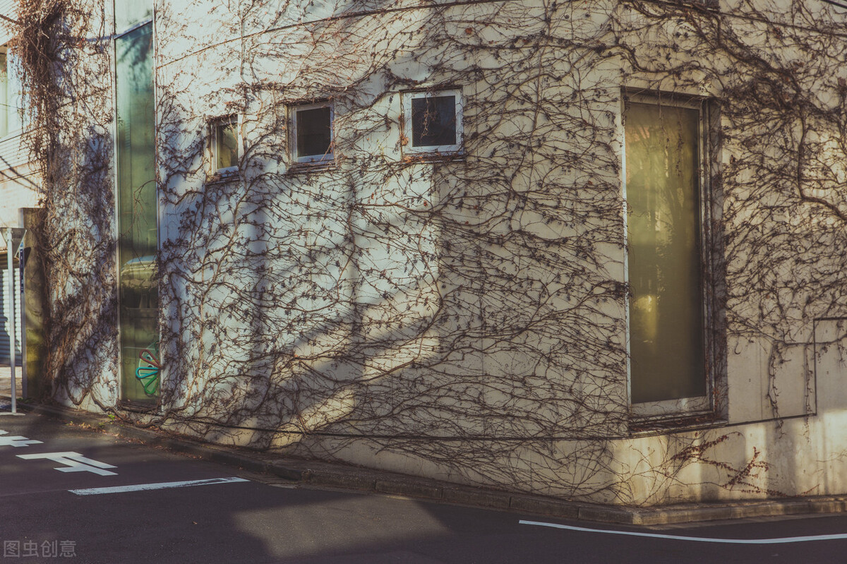 带你看看真实的东京,东京不愧是世界第一大城市