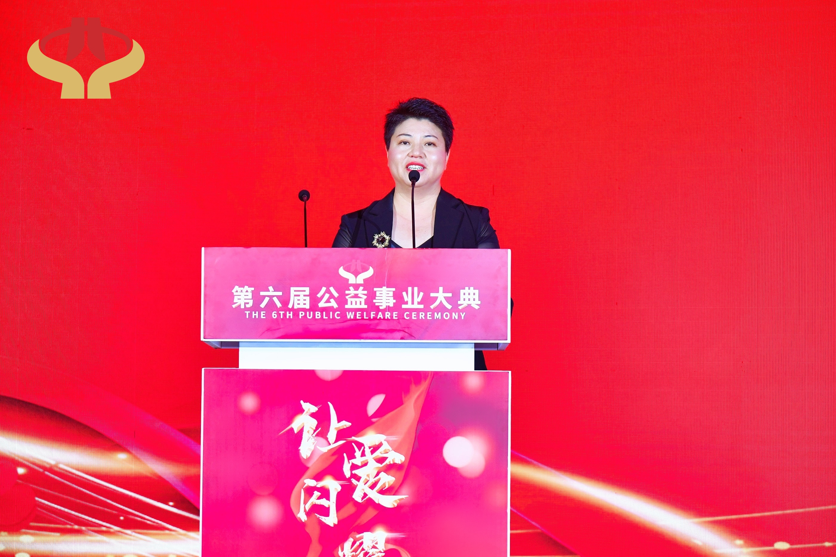 第六届中国公益盛典,第六届央视公益事业大典