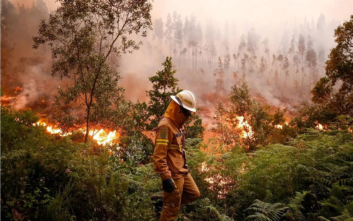 来自东北农村的机械师方力频，立志研发利国神器，拒绝卖给老美