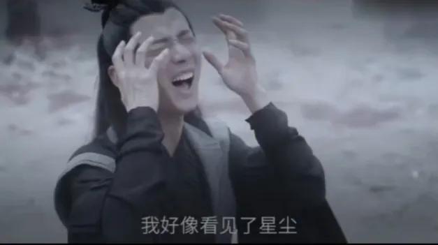 陈情令意难平cp,陈情令温情魏无羡cp