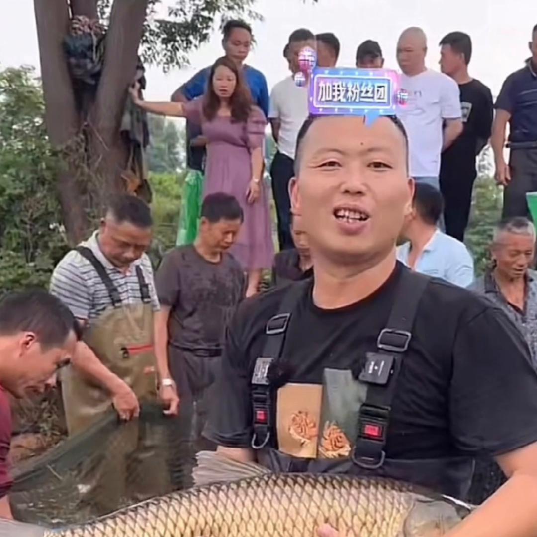 一亩鱼塘能产5000斤鱼,6亩鱼塘一年出10万斤鱼