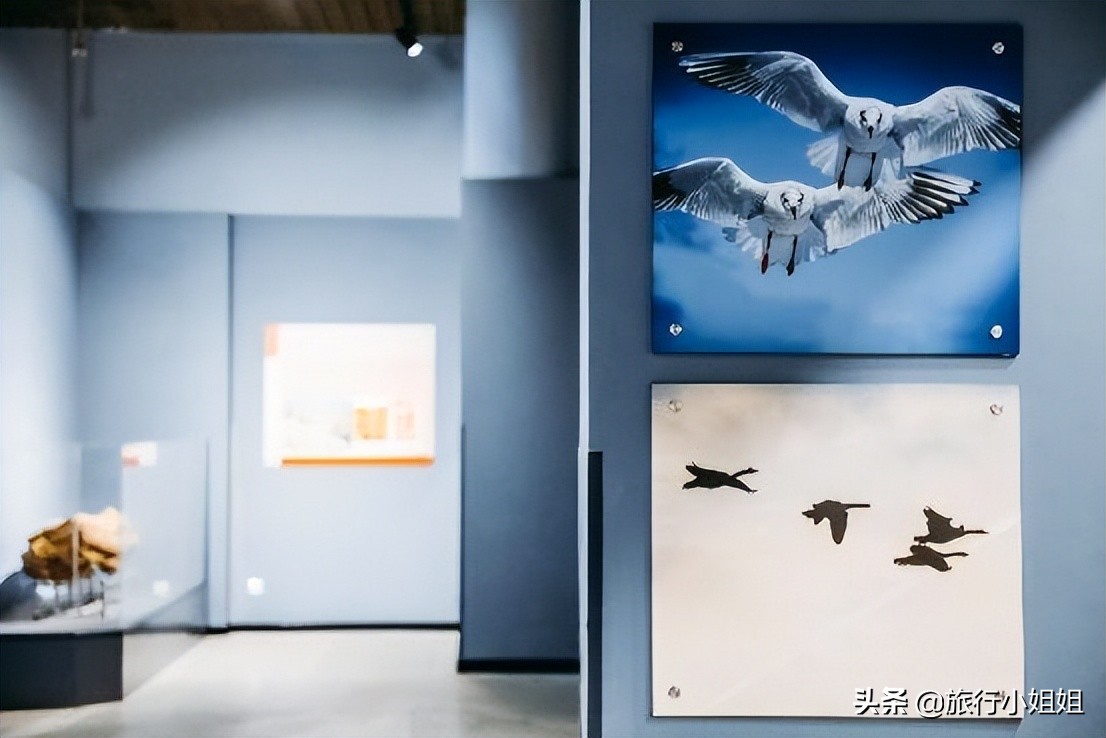 夏日海边微醺氛围感,滨城风光秀丽浪漫气息爆表