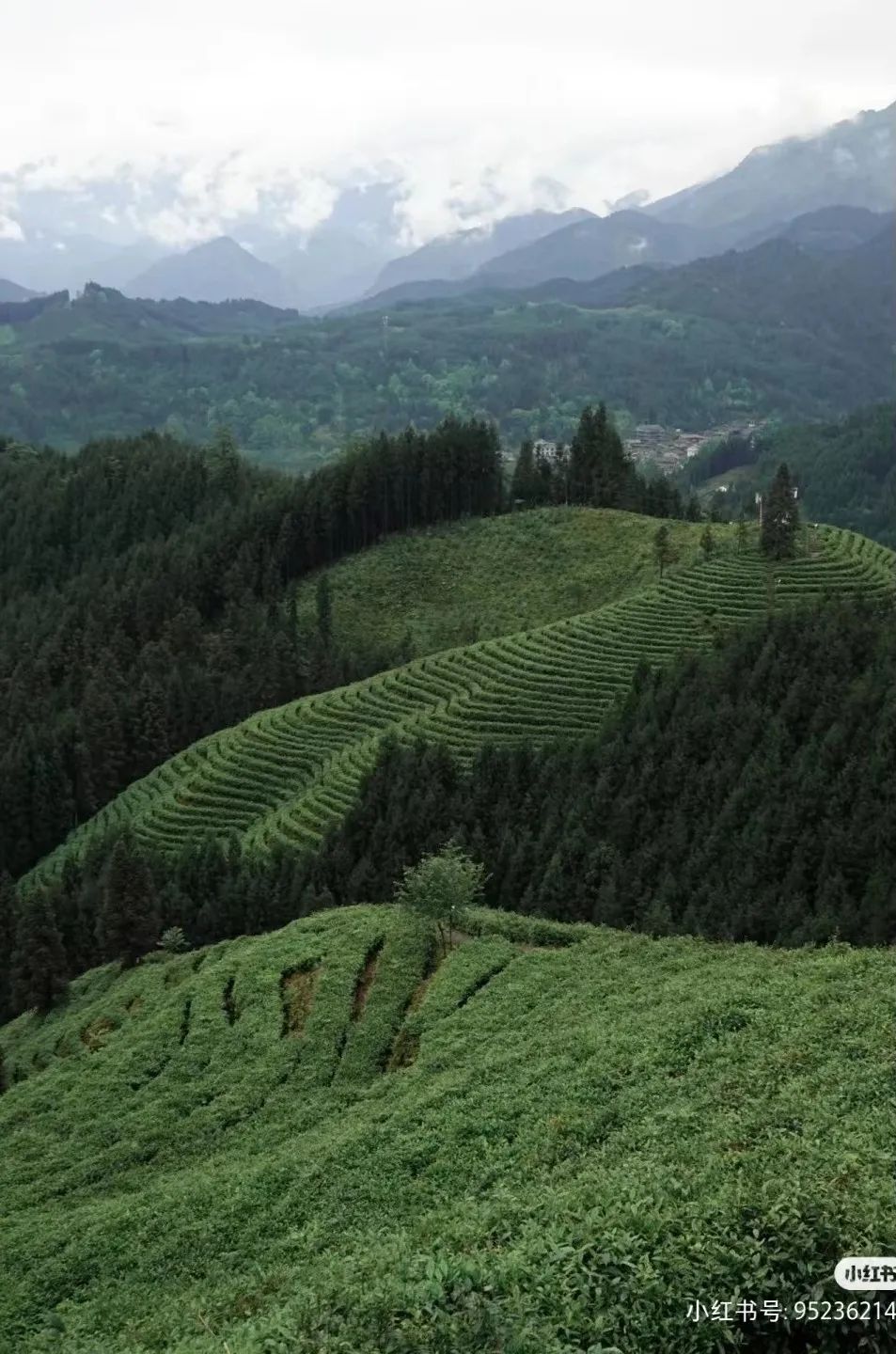 成都周边2天一夜避暑,成都周边避暑一日游最佳地方推荐