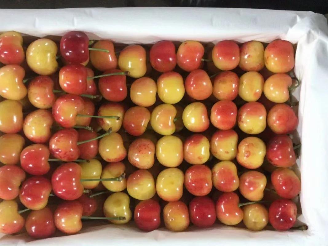 大樱桃打的农药多吗,大樱桃专用的农药