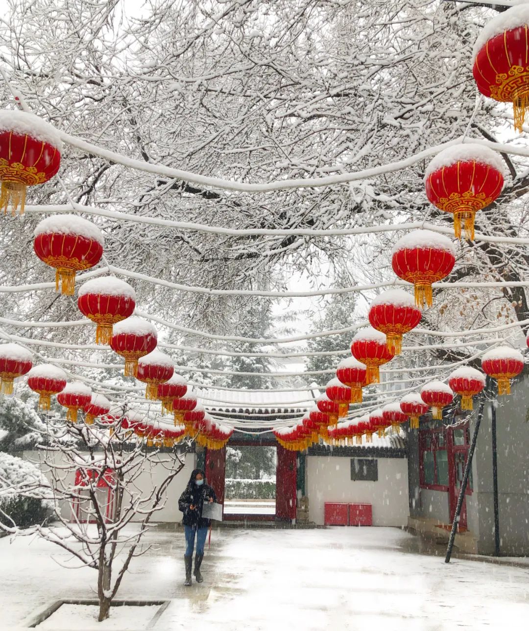 美丽的人民日报大院，我们温暖的家