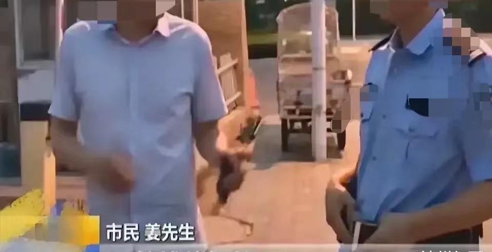 宿迁修汽车空调压缩机,车内空调不制冷维修费用