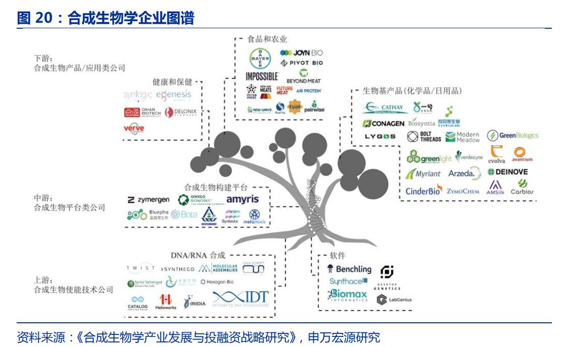 生物医药华恒生物,华恒生物都做什么