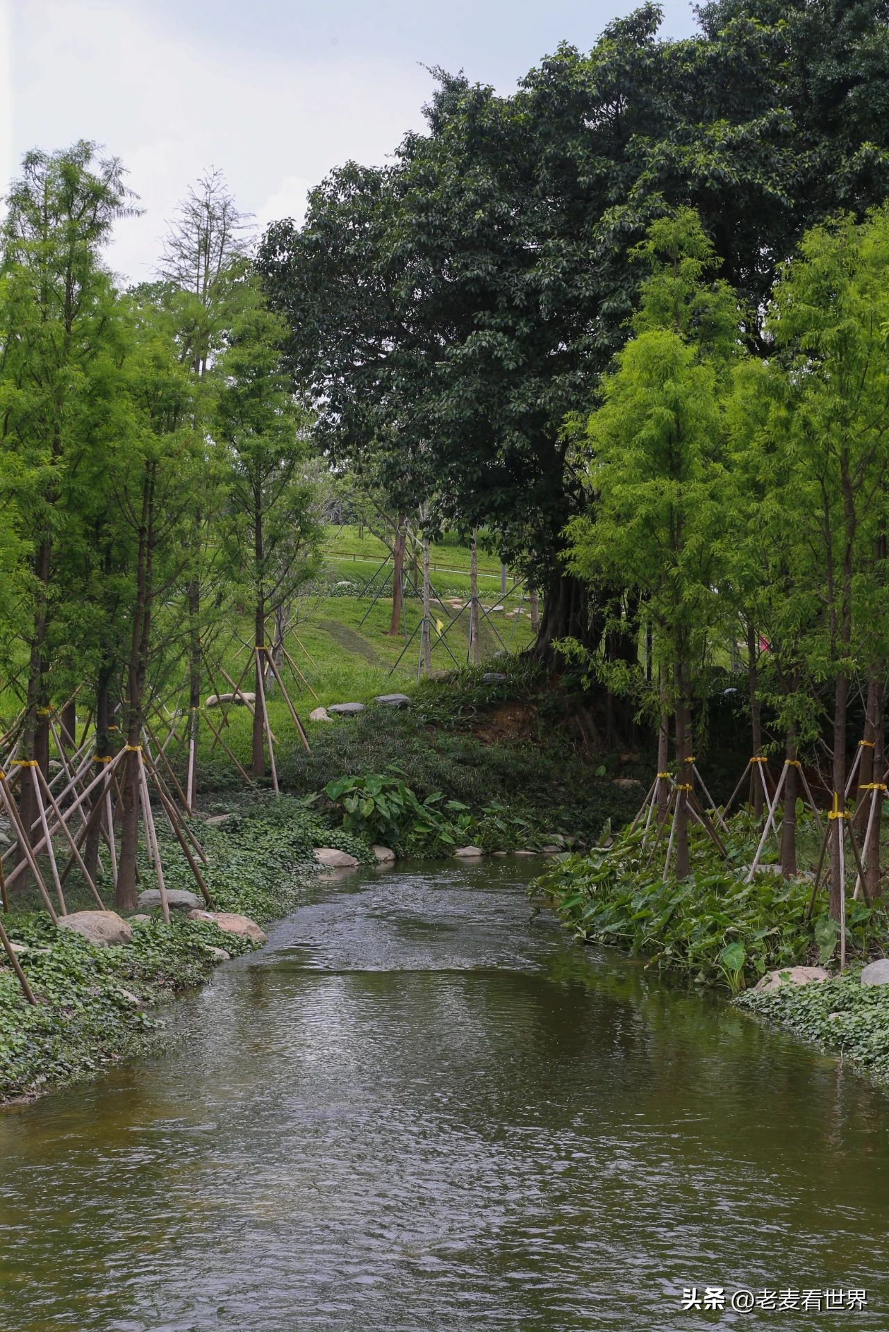 东莞中心公园怎么玩？最全攻略助你通关！五一打卡必备