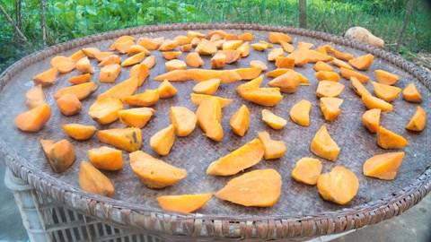 三九补一冬吃什么食物,冬补三九下一句