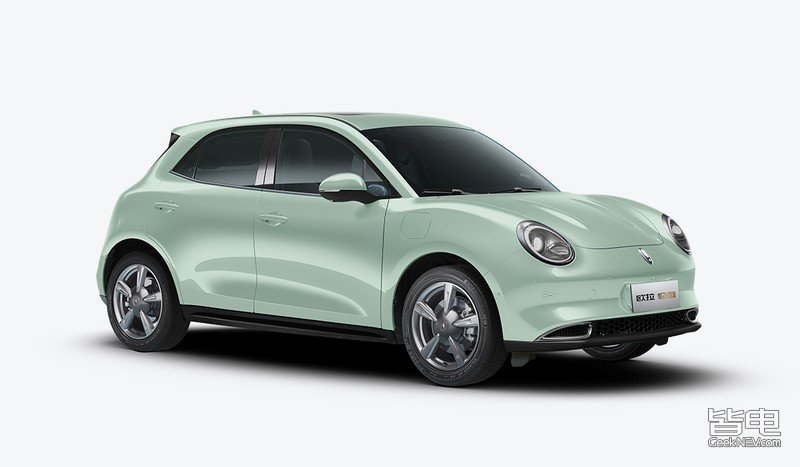 一只美貌与智慧并重的猫咪,一只靠自己找到今生铲屎官的橘猫