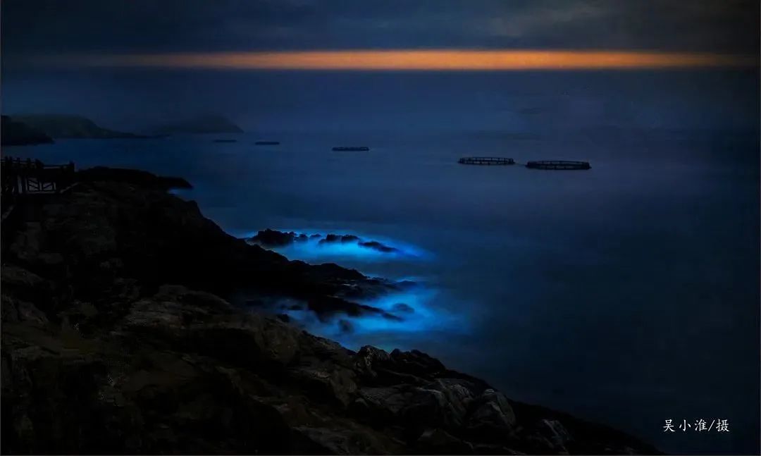 在温过大年！这几条“百县千碗”美食体验线路真的好吃又好玩